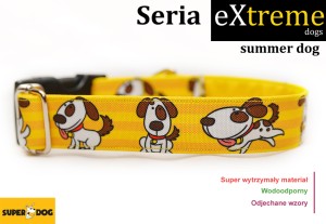 Obroża dla psa: summer dog