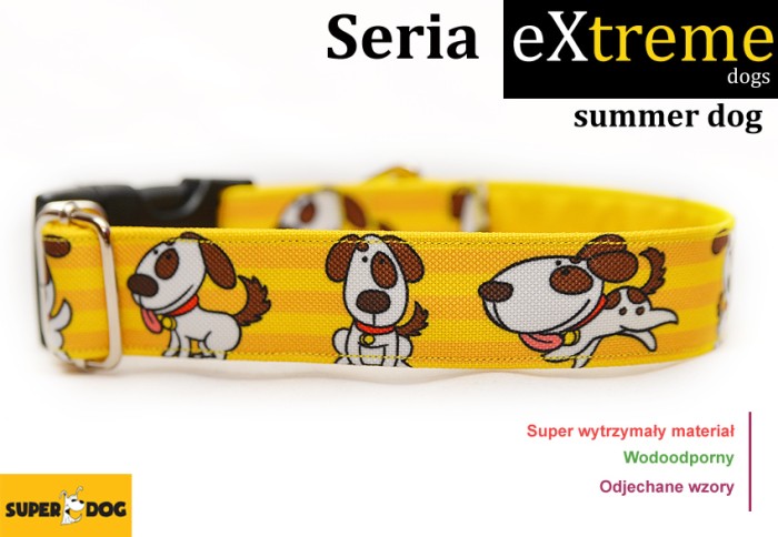 summerdog.jpg