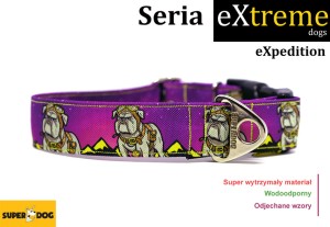 Obroża dla psa: eXpedition