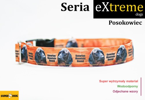 posokowiec, obroża posokowiec, pies myśliwski