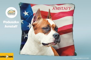 Poduszka Amstaff