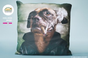 Poduszka Boxer-40x40cm