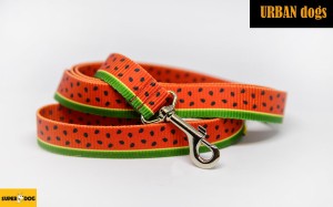 Smycz Urban Dogs (miejska)- soczysta słodycz
