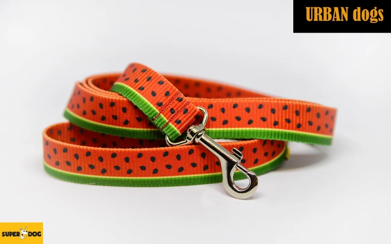 Smycz Urban Dogs – soczysta słodycz  dla psa – wytrzymała smycz miejska z rączką