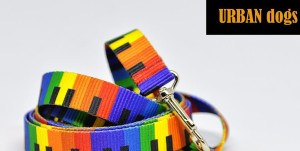 Smycz Urban Dogs (miejska) - Melody