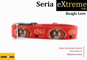 Obroża dla psa: beagle love