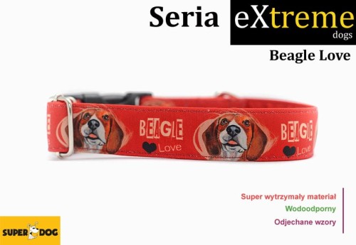 exreme.jpg