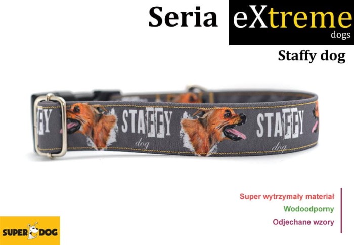 staffydog.jpg