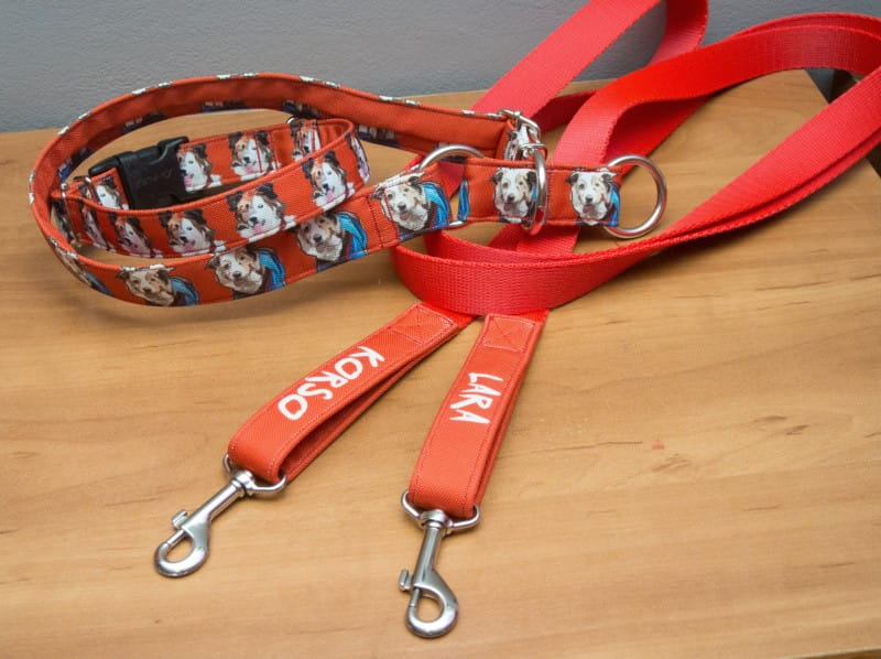 Obroża dla psa własnego projektu – personalizowana obroża Superdog