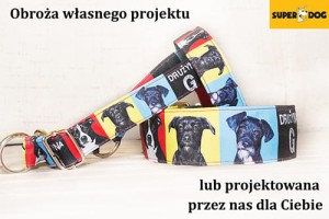 Obroża dla szczeniaka własnego projektu – personalizacja Superdog