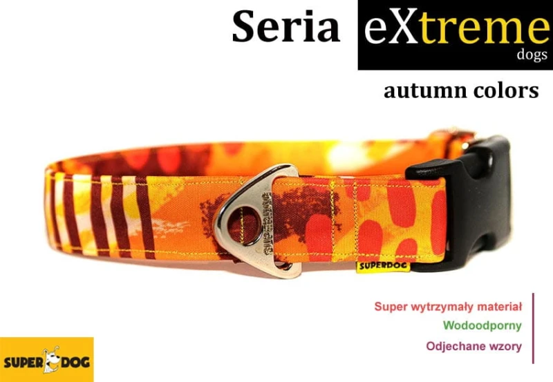 autumn.jpg