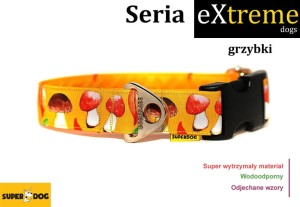 Obroża dla psa: grzybki
