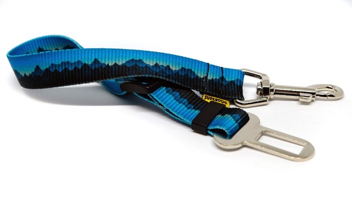 DSCF2254.jpg