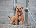 DSC_0114.jpg