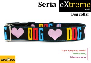 Obroża dla psa: Dog collar