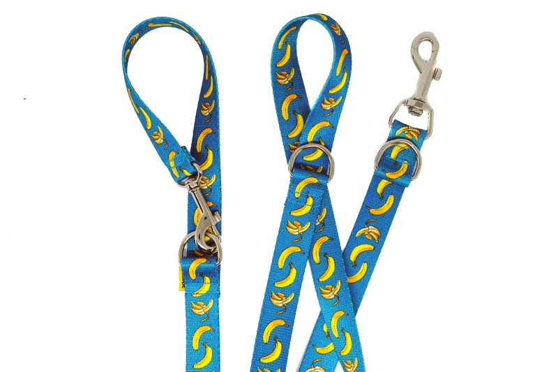 Wytrzymała smycz Urban Dogs przepinana – banana dla psa Superdog