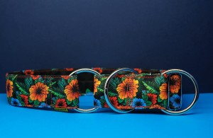 Obroża dla psa na półzacisk , floral collar, 4cm, 40-50 