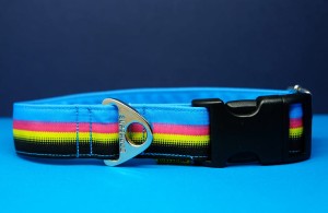 Obroża dla psa na klamrę , CMYK, 3cm, 30-40