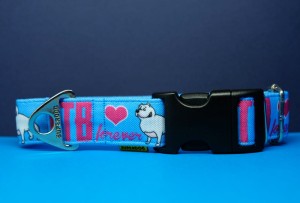 Obroża dla psa na klamrę , blue ttb, 3cm, 30-40 