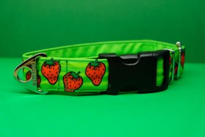 Obroża dla psa na klamrę , truskawki, 3cm, 30-40 