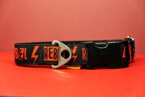 Obroża dla psa na klamrę ,rebel, 3cm, 30-40