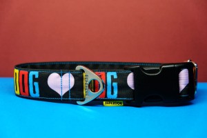 Obroża dla psa na klamrę dog collar, 3cm, 30-40