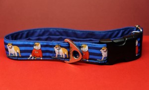 Obroża dla psa na klamrę: skate dog,  35-45, 3cm 