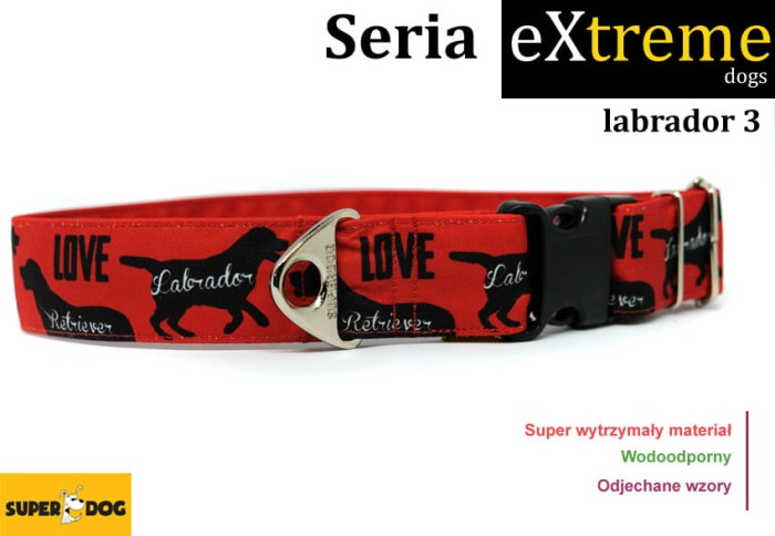 Obroza_dla_labradora_3.jpg