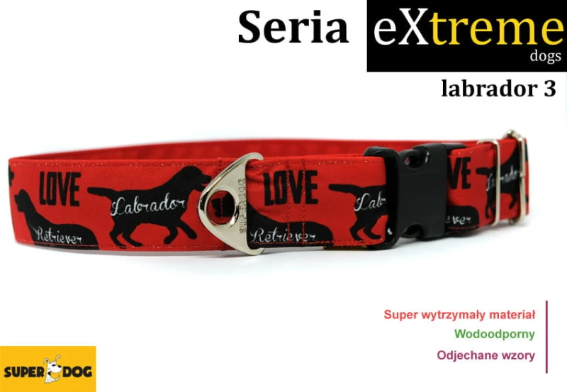Obroza_dla_labradora_3.jpg