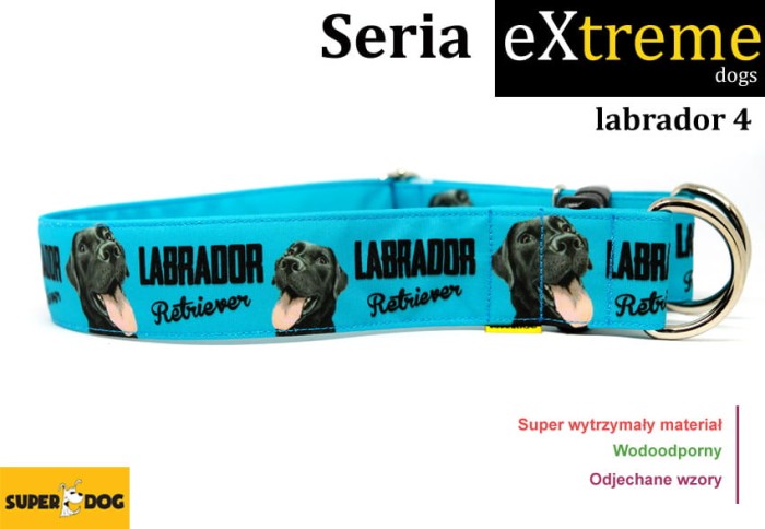 obroza_dla_labradora_4.jpg