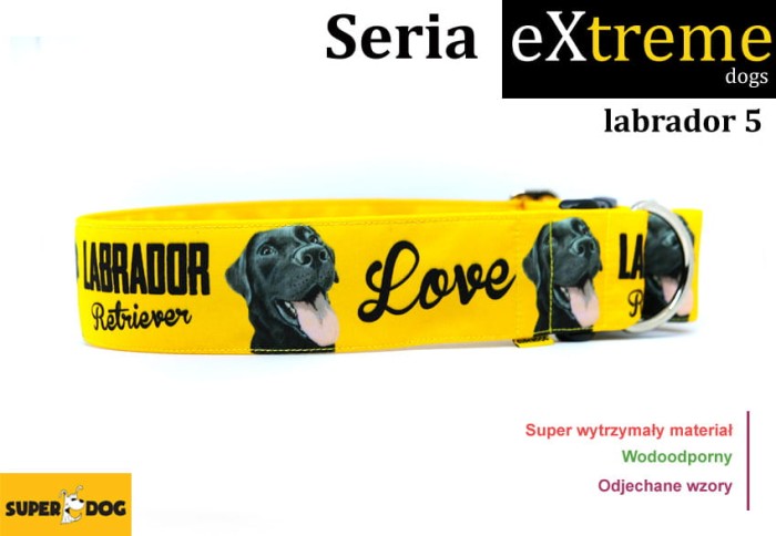 Obroza_dla_labradora_5.jpg