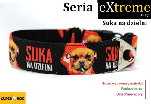 obroza_dla_psa_staffika.jpg