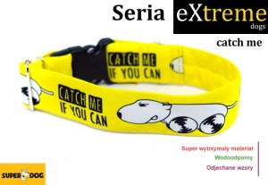 Obroża dla psa: catch me