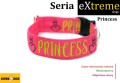 princessa.jpg