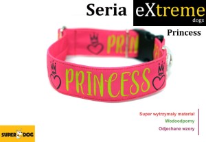 princessa.jpg