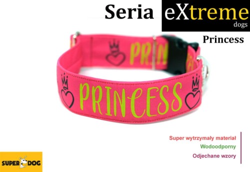 princessa.jpg