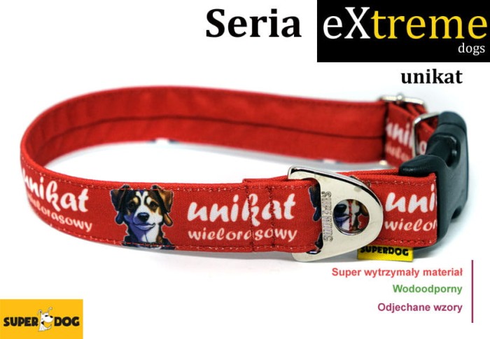 obroza_dla_kundelka.jpg