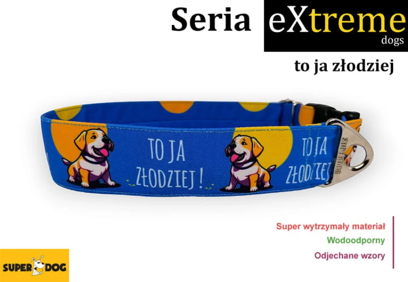 zlodziej.jpg