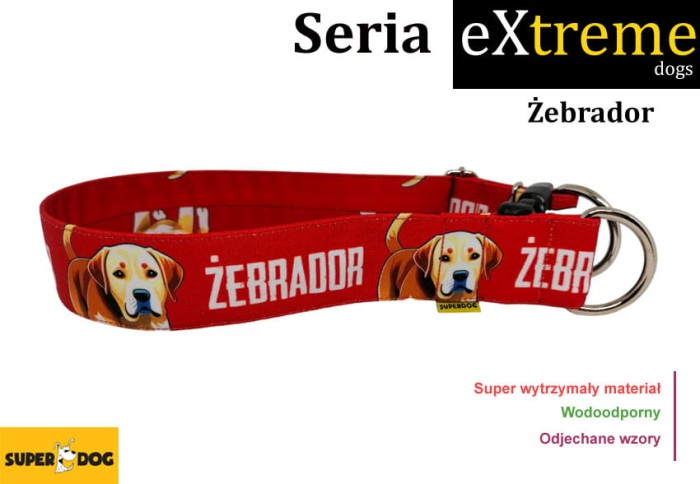 zebrador.jpg
