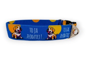 Obroża dla psa : złodziej , 4cm, 45-60