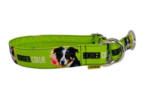 Obroża dla psa : border collie , 3cm 30-40 