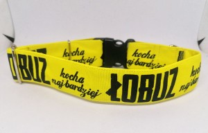 Obroża dla psa : łobuz : 4cm, 40-50 klamra 