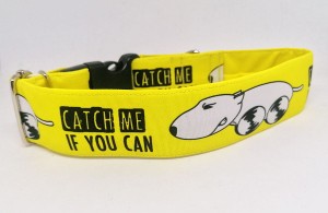 Obroża dla psa : catch me : 4cm,30-40 klamra 