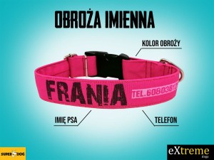 Obroża dla psa z imieniem – personalizowana obroża imienna Superdog