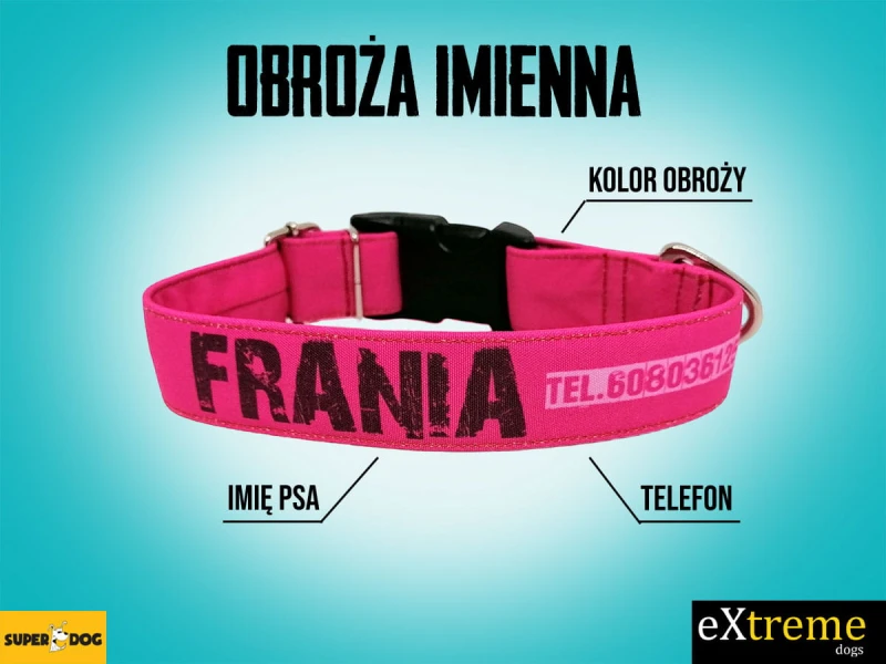 Obroża dla psa z imieniem – personalizowana obroża imienna Superdog