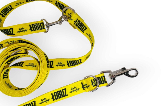 Wytrzymała smycz Urban Dogs przepinana – łobuz dla psa Superdog