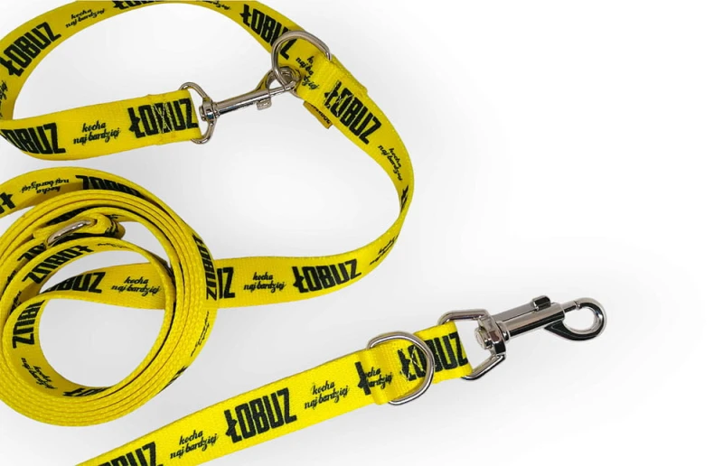 Wytrzymała smycz Urban Dogs przepinana – łobuz dla psa Superdog