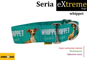 Obroża dla psa: whippet
