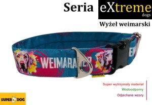 Obroża dla psa: wyżeł weimarski