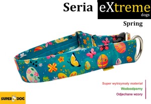 Obroża dla psa: spring